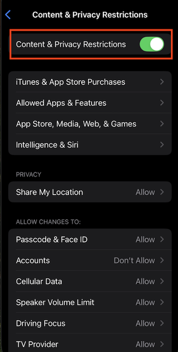Content And Privacy Enable iOS